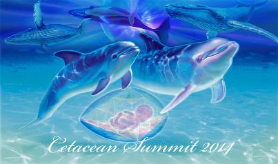 CetaceanS2014.jpg